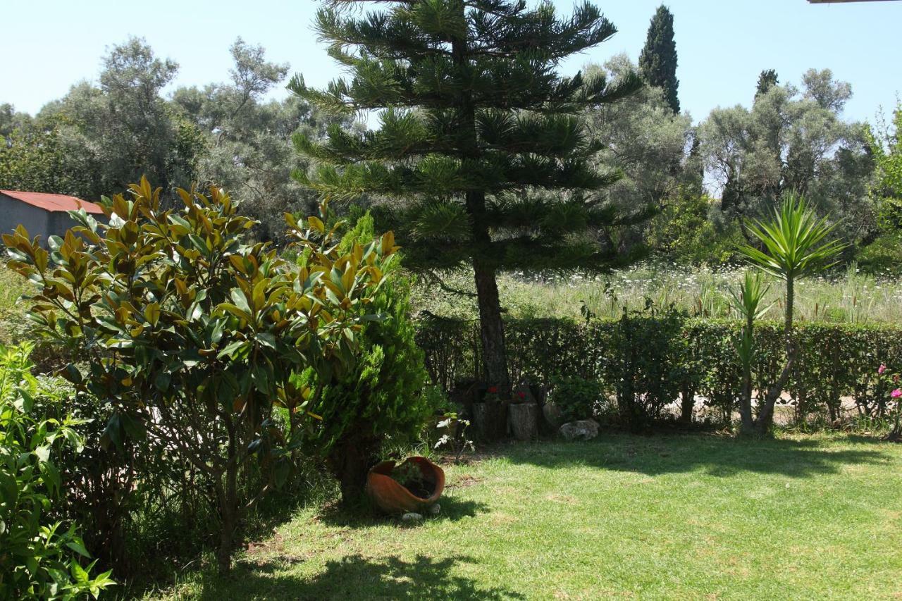 Lefkáda Arokaria Apartment מראה חיצוני תמונה